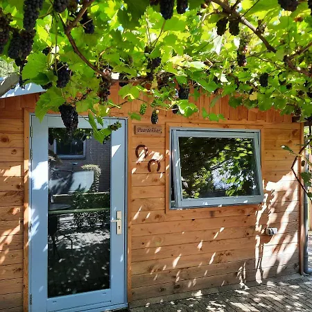 Paardenhof Bed & Breakfast Wapenveld