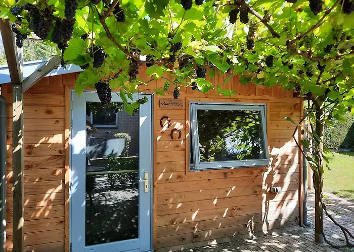 Paardenhof Bed & Breakfast Wapenveld