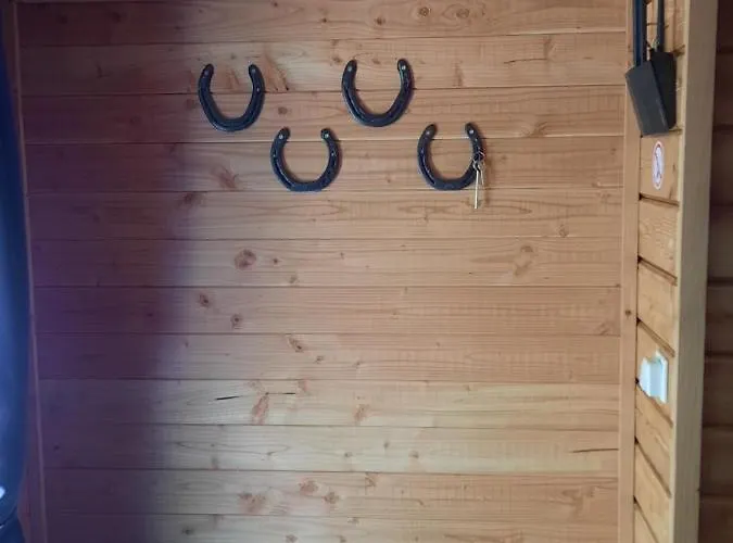 Paardenhof Bed & Breakfast Wapenveld