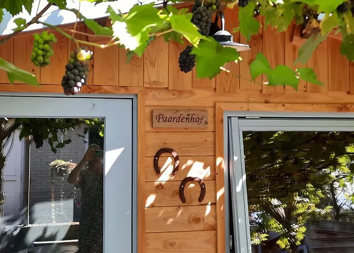 Bed & Breakfast Paardenhof 3*